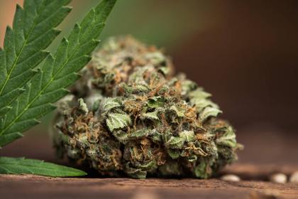 These States Are Poised to Legalize Recreational Cannabis in 2026