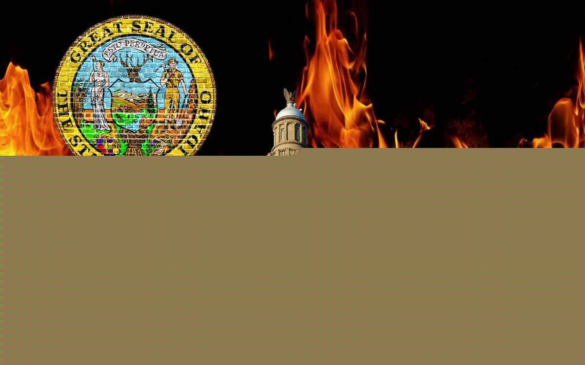 Idaho Governor Declares Wildfire Emergency As Fires Spread Across