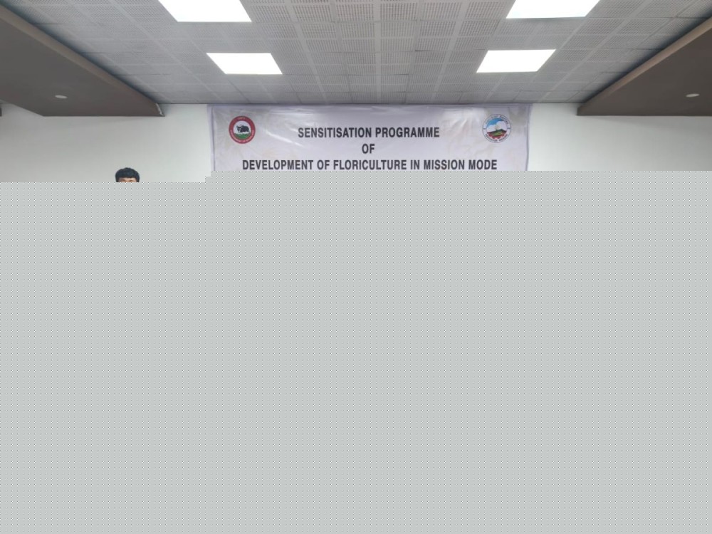 Nagaland horti dept empowers  farmers with floriculture project