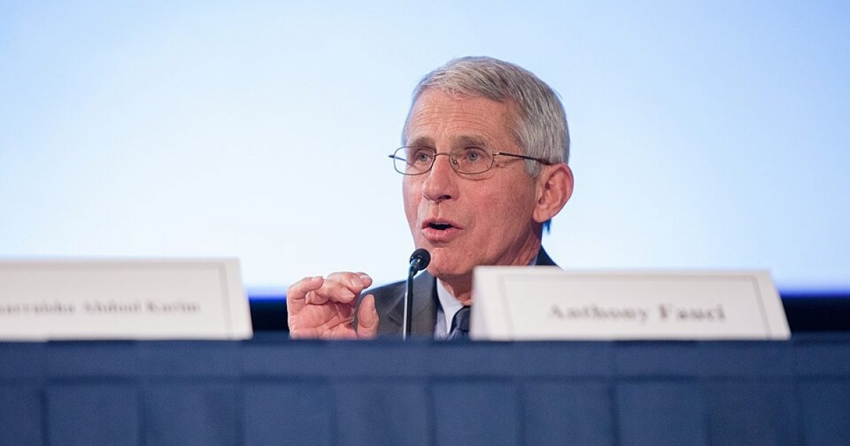 Anthony Fauci Senate Hearing Today: What His COVID Diaries Reveal and What Happens Next