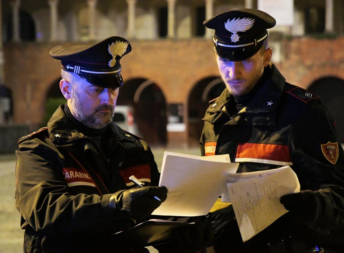 Massese arrestato dai carabinieri: aveva una piantagione di Marijuana