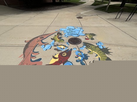 These eye-catching murals are popping up around storm drains— here’s why