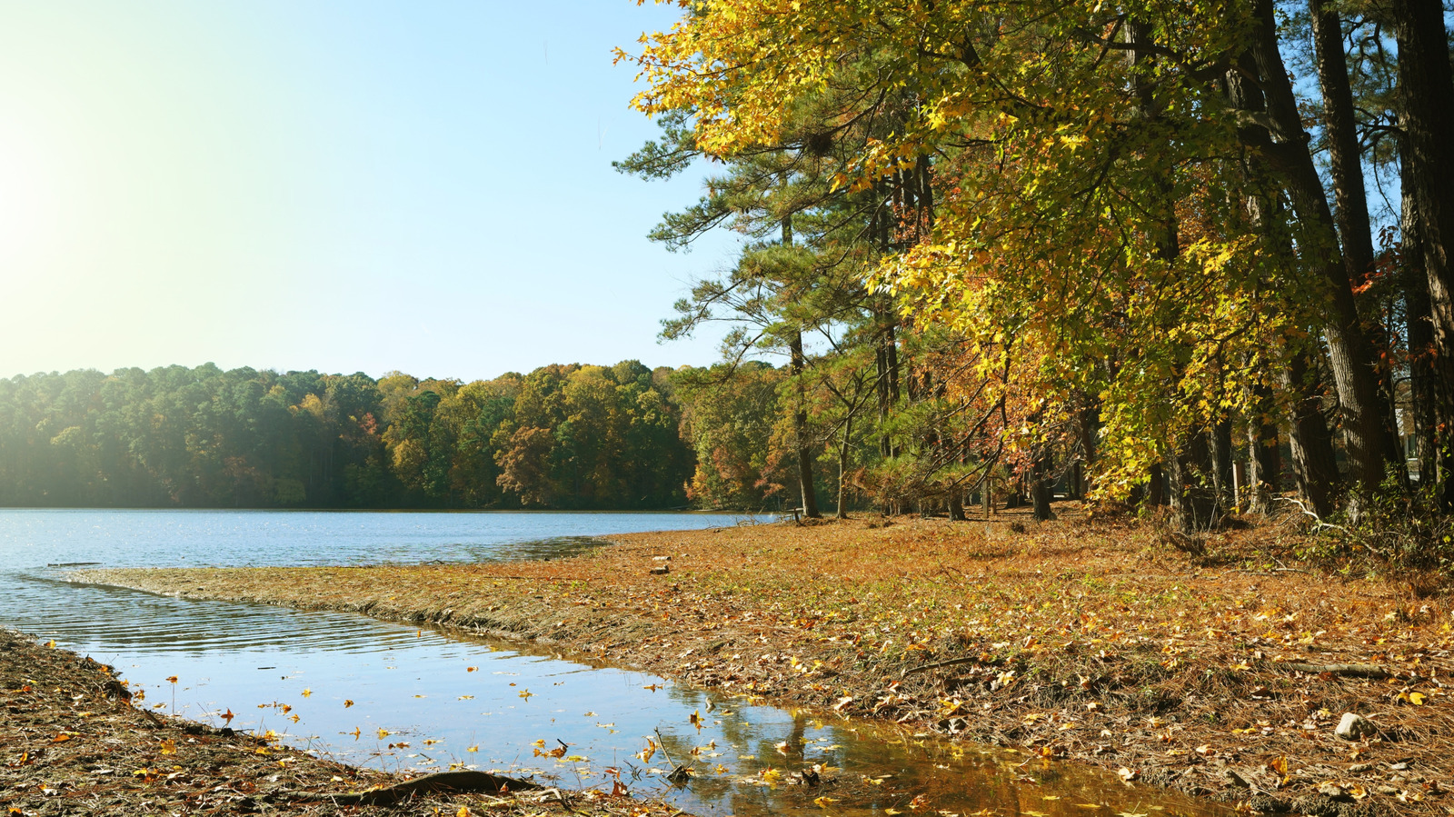 Minutes From Downtown Raleigh Is A Breathtaking Lake Park With Fishing, Trails, And Kayaking