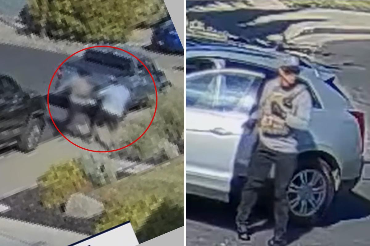 Horrifying video shows elderly man fatally stabbed in front yard in quiet California town