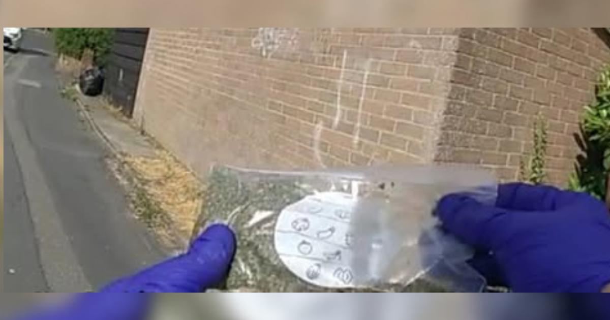 Young male found with a 'significant' amount of cannabis by police in Ringwood