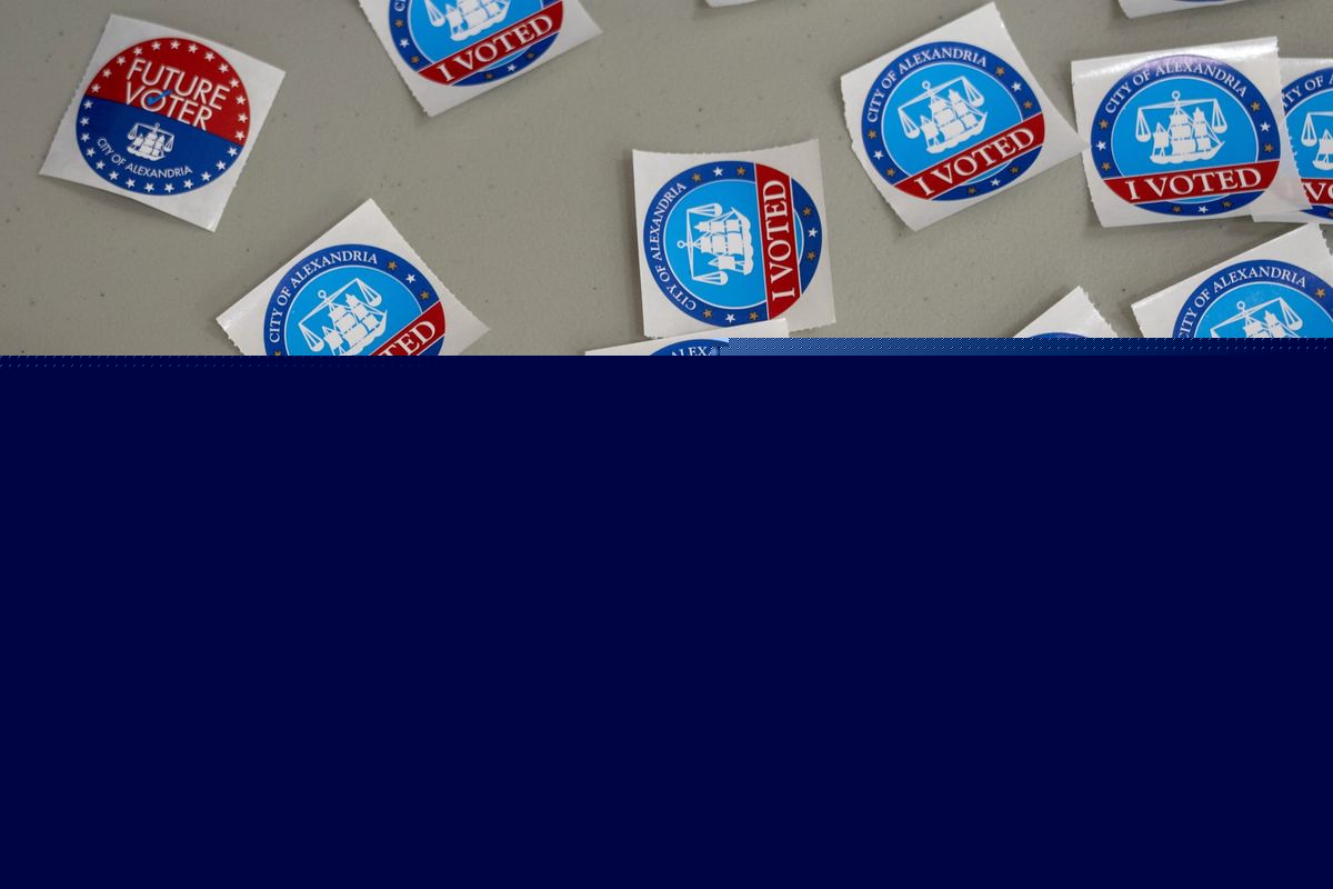 Virginia Democrats pick establishment nominees for 2 US House seats they hope to flip in November