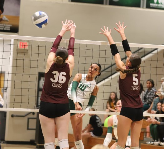 PHOTO GALLERY: North Hall wins thriller against Dawson County, take No. 1 seed to region volleyball tournament