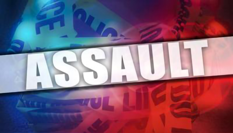 Marceline woman faces felonies after alleged baseball bat assault