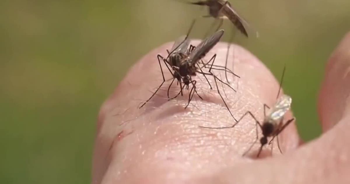 Mosquitoes in Wauwatosa test positive for West Nile Virus; what to know