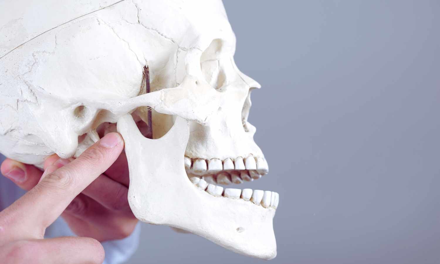 Splint Design and Thickness may influence load distribution in TMJ system: Study