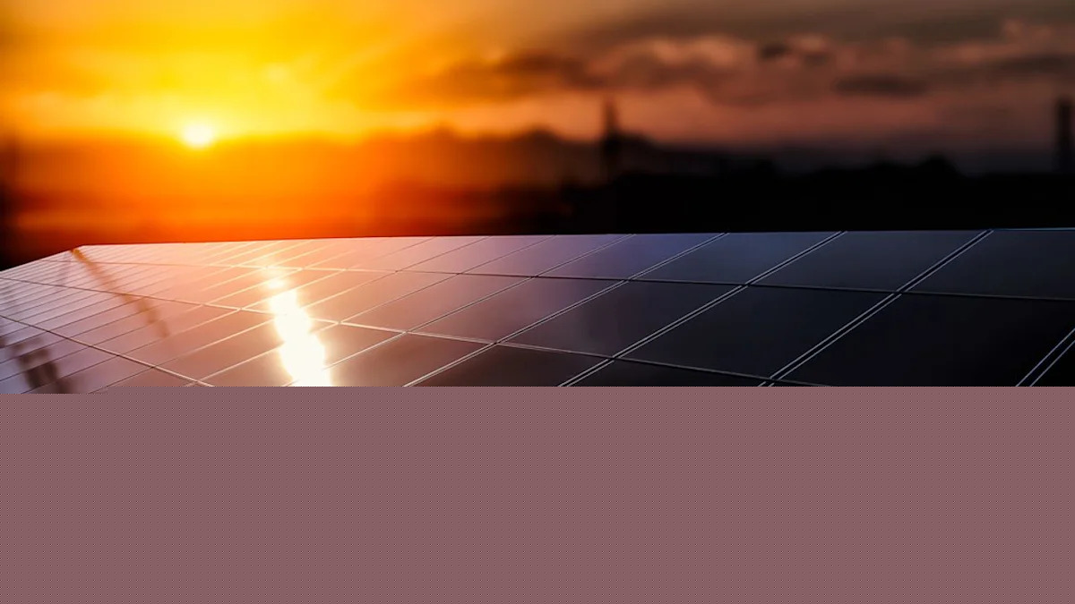 Drax's renewables portfolio is undervalued, says RBC