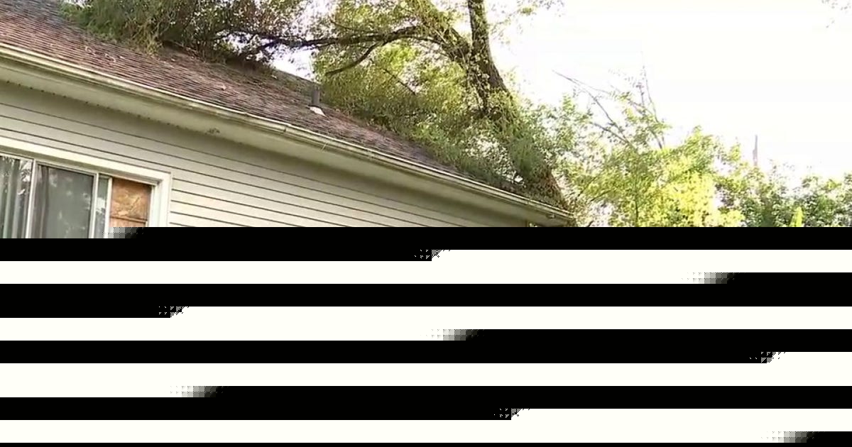81-year-old Detroit homeowner seeks help after tree falls on home