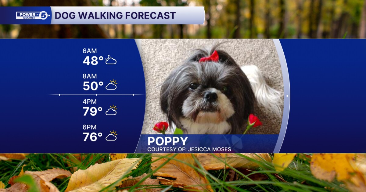 DOG WALKING FURCAST: Frigid digits out the doggy door, but we will be panting by the afternoon!