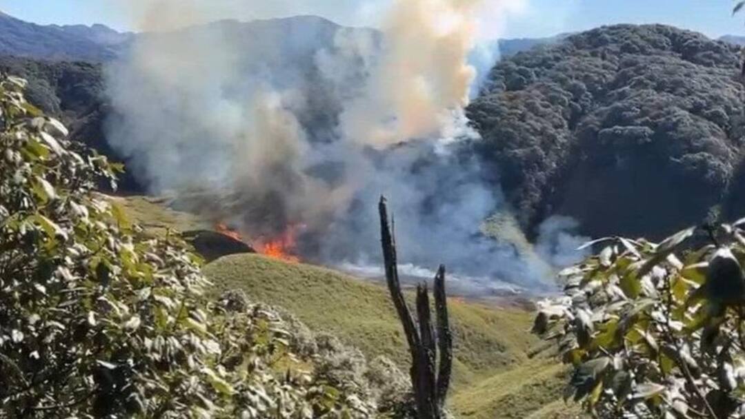 Dzukou Valley Wildfire Races Towards Manipur’s Highest Peak, NDRF Deployed