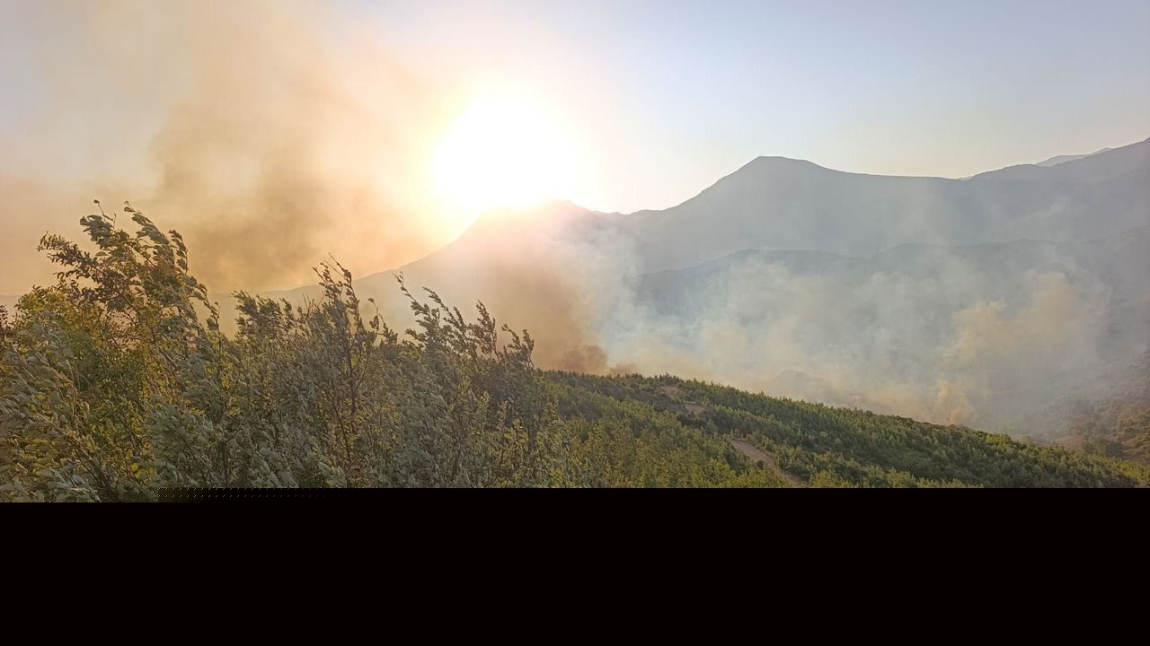 Alanya'da orman yangını / Ek fotoğraflar