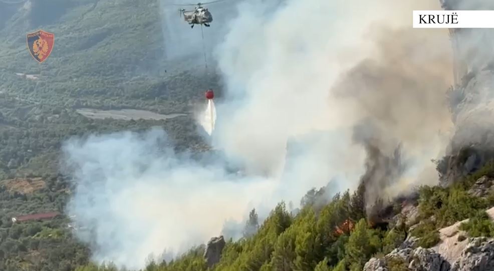 VIDEO/ Ndezi zjarr për të djegur barin pranë banesës, flakët iu përhapën drejt malit të Krujës! Arrestohet 73-vjeçari