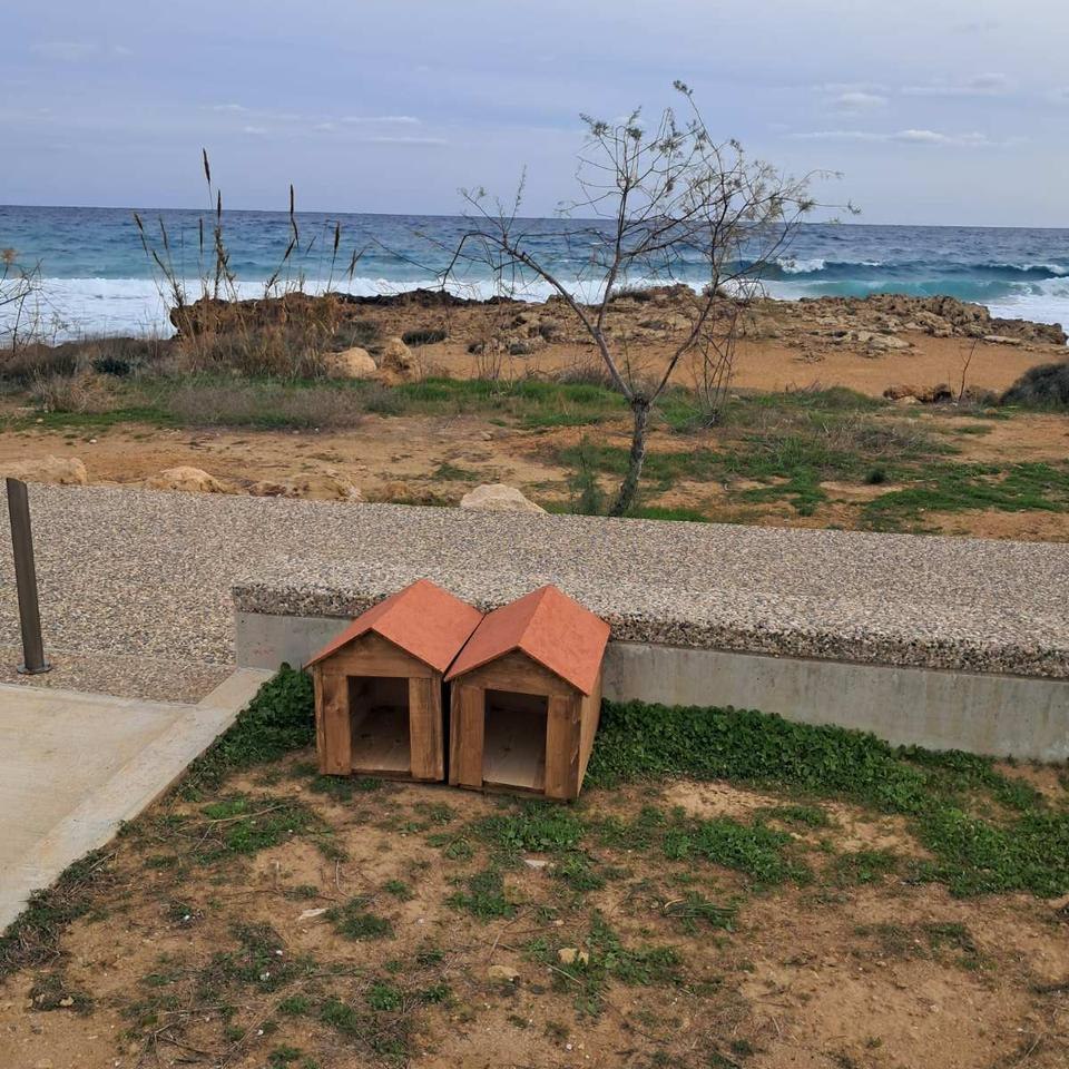 Kennels for stray cats installed in Paralimni