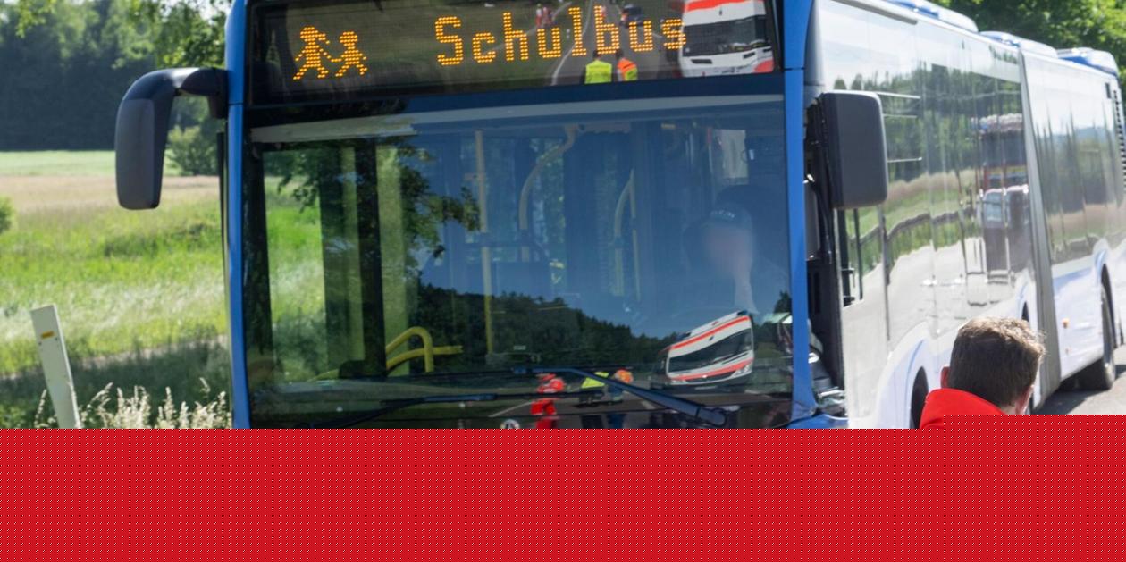 Zwölf Kinder verletzt: Freilaufender Hund löst Schulbus-Unfall in Franken aus - und stirbt