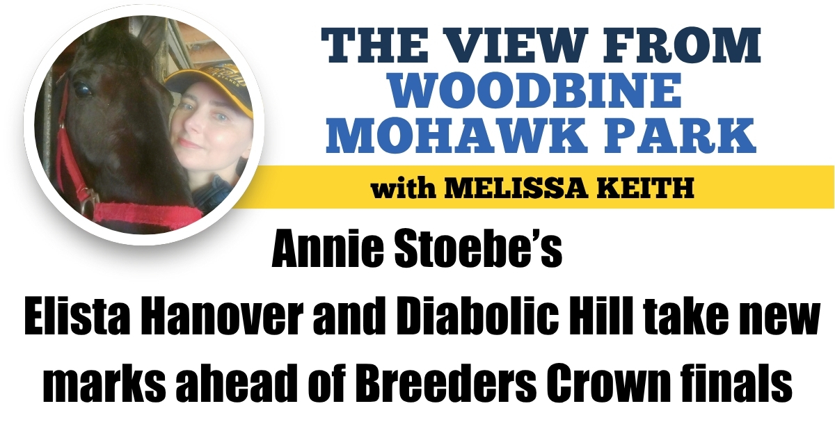 Annie Stoebe’s Elista Hanover and Diabolic Hill take new marks ahead of Breeders Crown finals