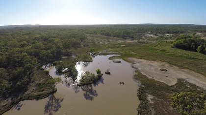 Australian court revives Indigenous challenge to Carmichael coal mine over sacred springs
