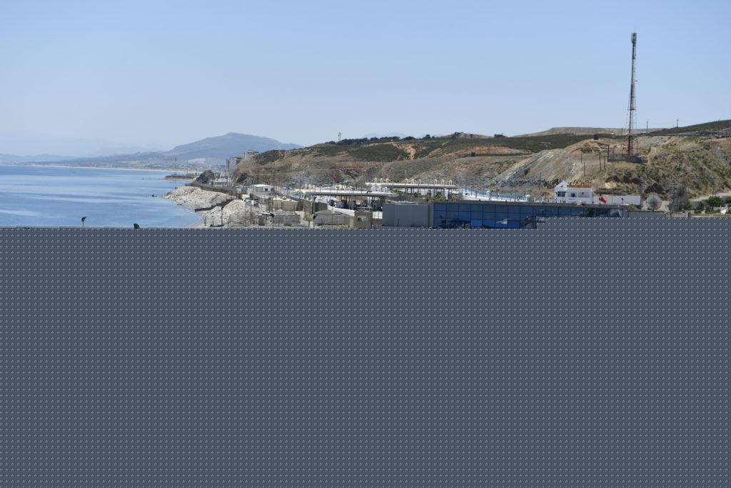 EU parliament should reconvene to discuss Ceuta crisis, say some MEPs