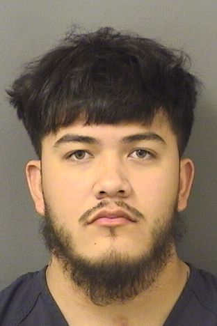 Palm Beach County Man Arrested for Alleged Grand Theft Auto, Sheriff’s Office Reports