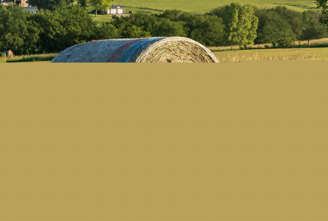 Area Hay Prices