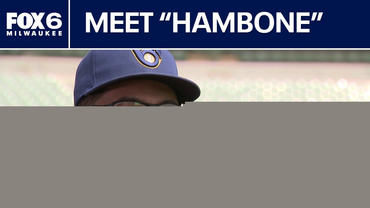 Brewers' David Hamilton answers fan questions