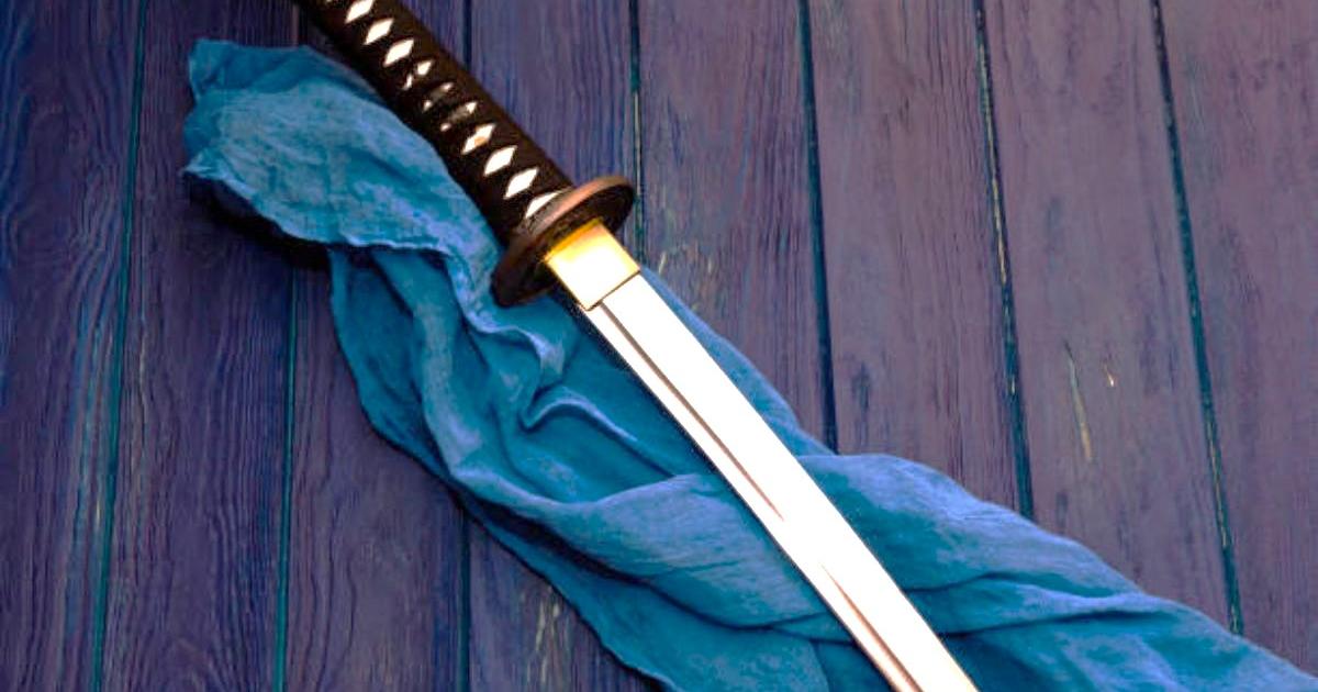 Samurai sword seized as police swarm on Pembrokeshire town
