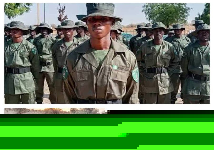 Forest Guards, DSS Rescue Nine Kidnap Victims in Kwara