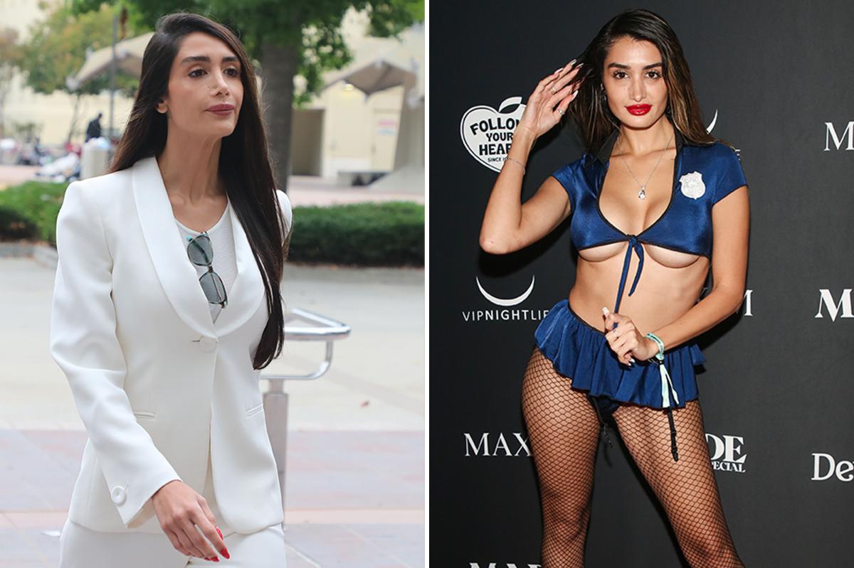 Penthouse Pet turned incorrigible sugar daddy thief arrested again