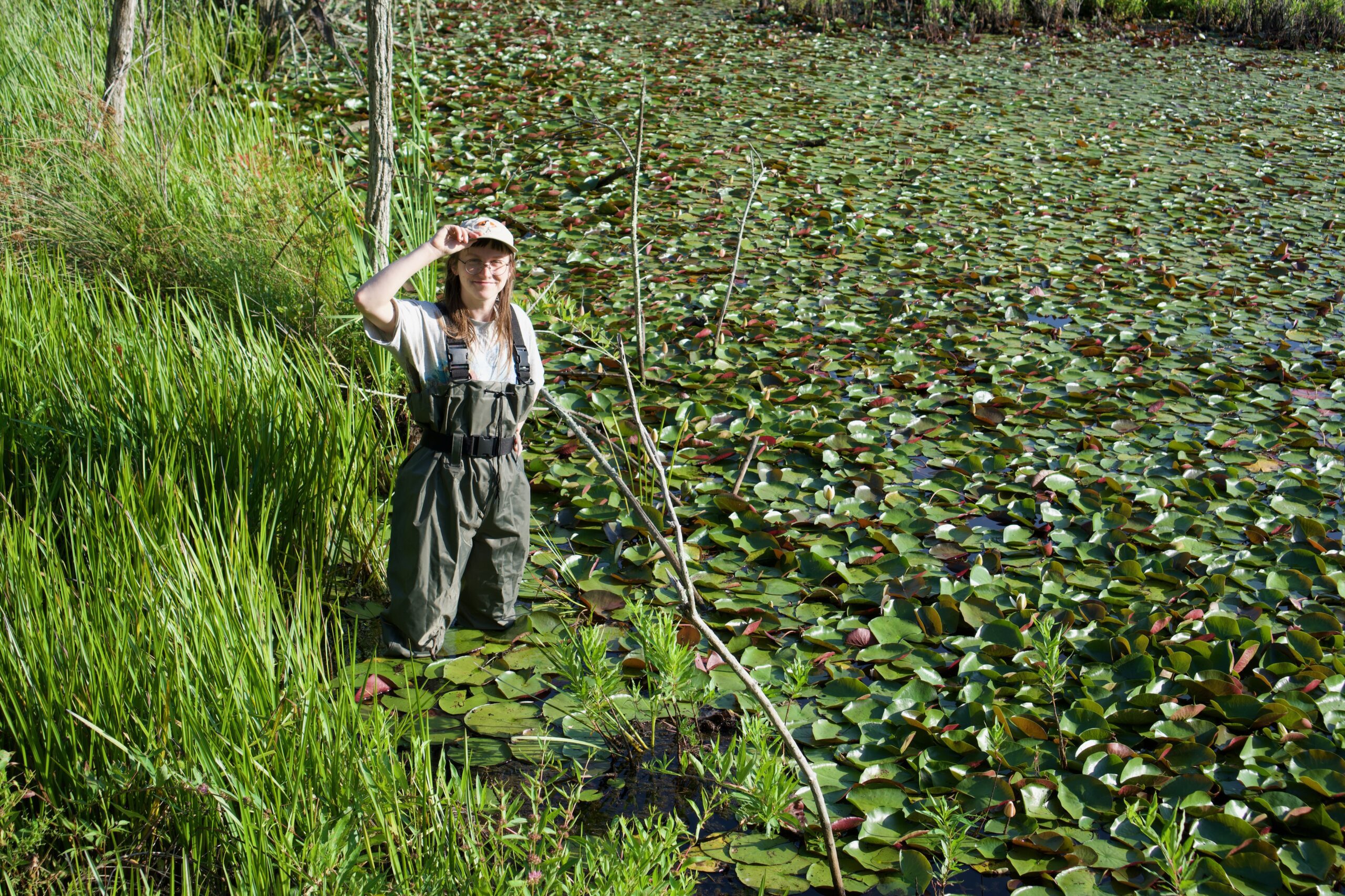 Comment on Leave It to Beaver: Animals’ Presence Prompts Exeter Homeowner to Start Non-Lethal Management Company by Lynn W Covington