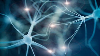A more realistic way to study cocaine use could accelerate addiction research
