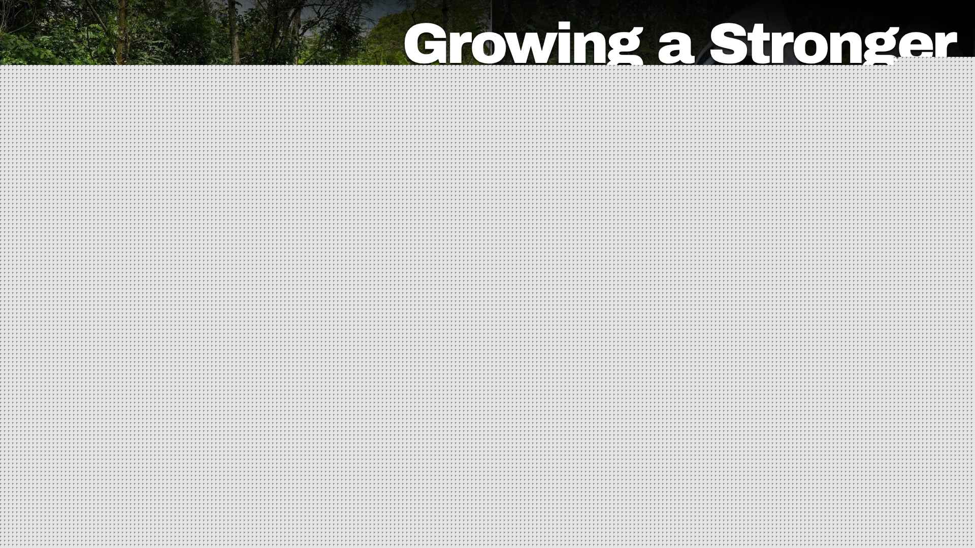 Growing a Stronger Beekeeping Industry