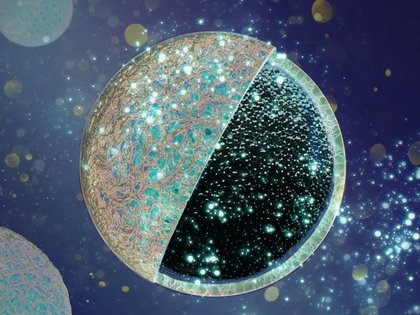 New core-shell design for anodes significantly increases performance of sodium-ion batteries
