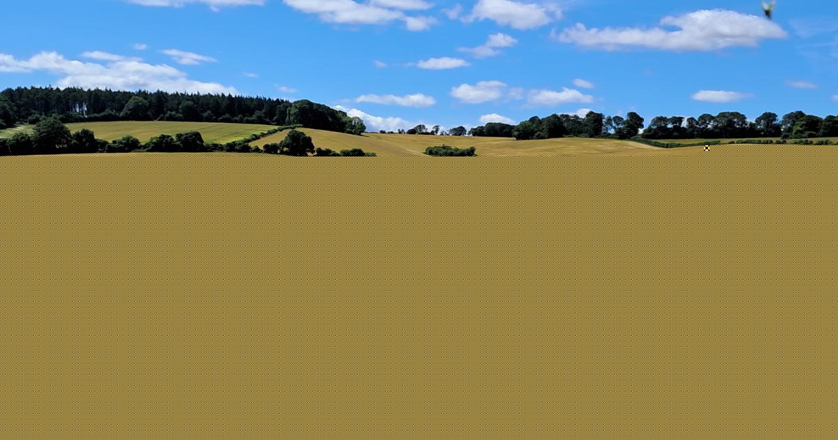 Free walk to explore the countryside around Basingstoke