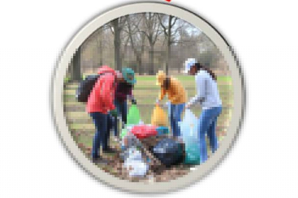 Volunteers Needed To Clean Up Feeney Park In Murphys