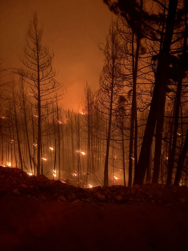 When B.C. brothers fought to save home from raging fire (BC)