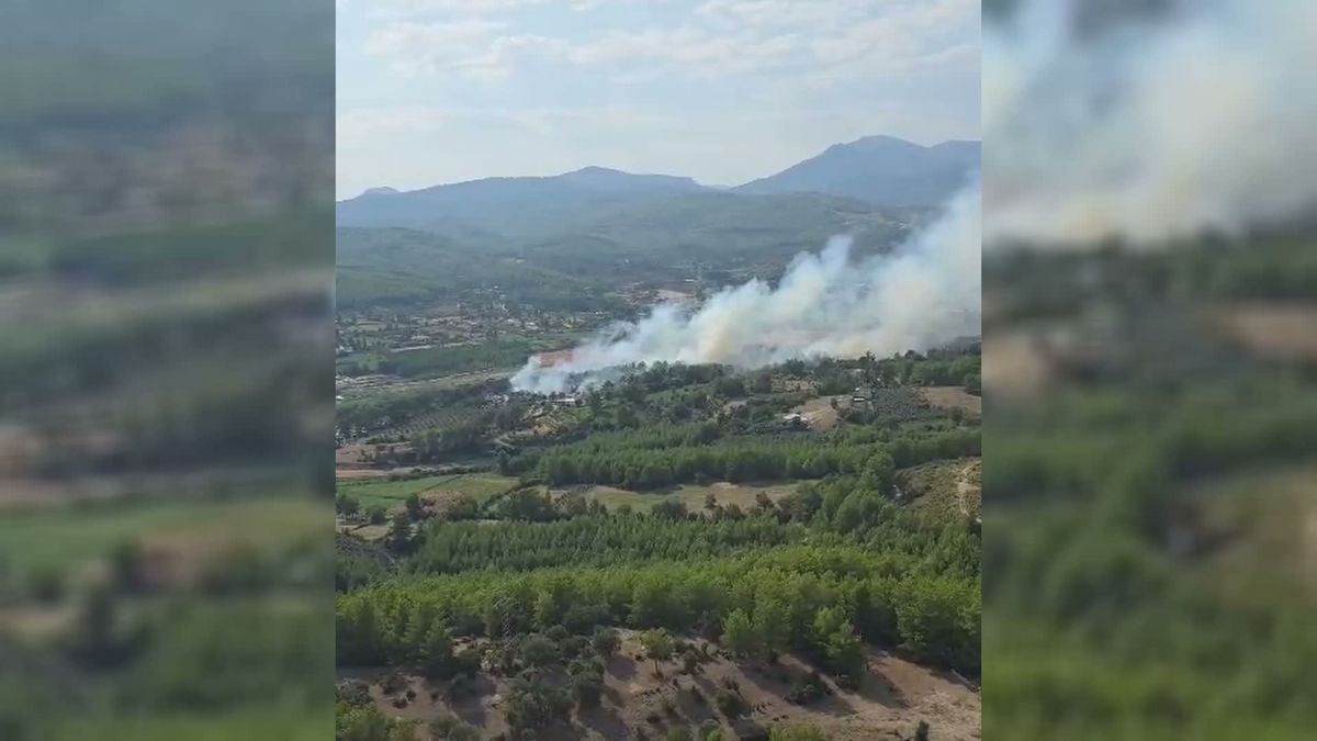 Muğla Seydikemer'de Orman Yangını