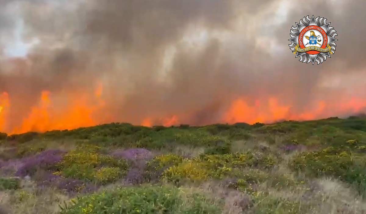 ‘Dangerously close’ — Dublin wildfire prompts huge rescue effort