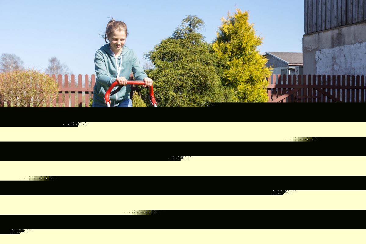 $1,000 Fine for Breaking Minnesota Mowing Laws