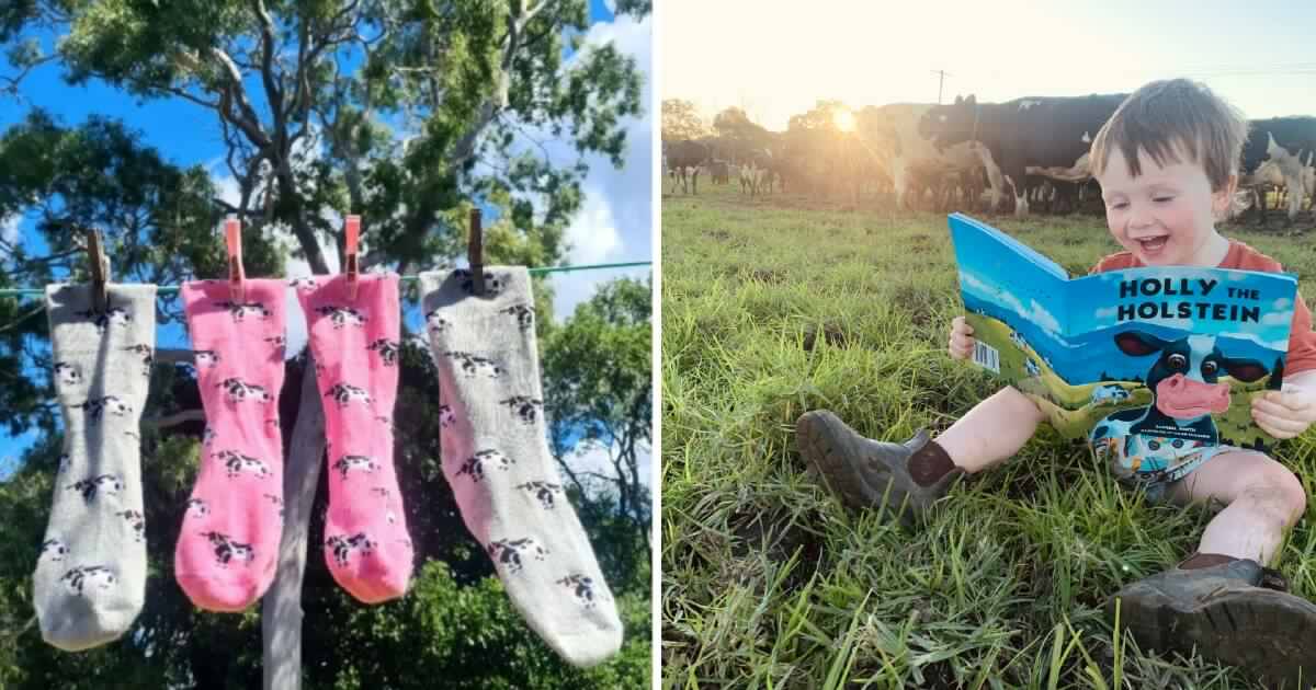 Disaster deadline: charity socks help farmers back on their feet