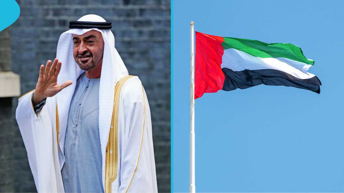 UAE explains conditions under which foreigners can lose citizenship