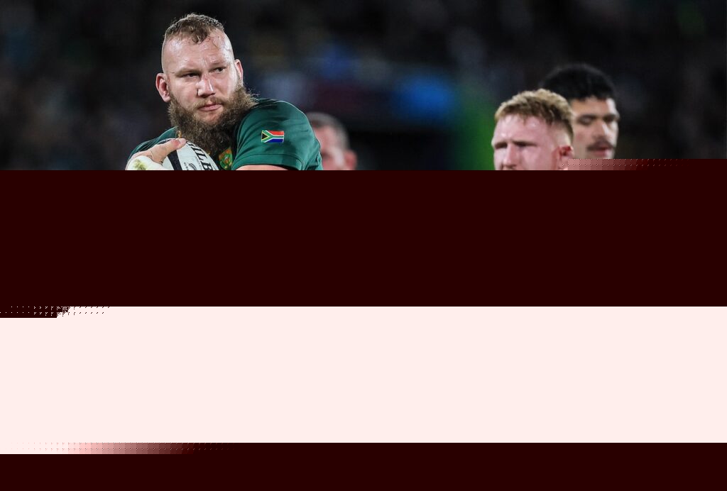 Back to the future as world champion Springboks host All Blacks