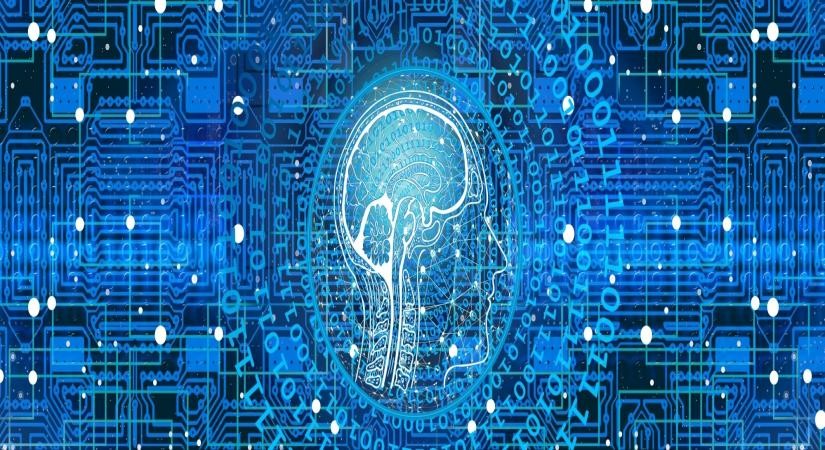 China's workers losing jobs due to rapid AI rollout