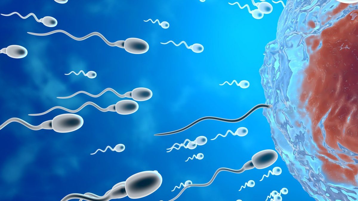 Harmful bacteria in semen could be new cause of male infertility