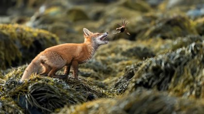 Spectacular Winning Images from The Society of Photographers’ Photographer of the Year 2025