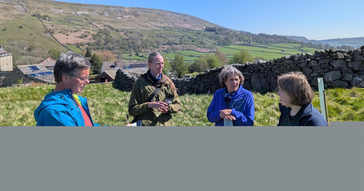 Tree-planting grants launched for Yorkshire Dales landowners